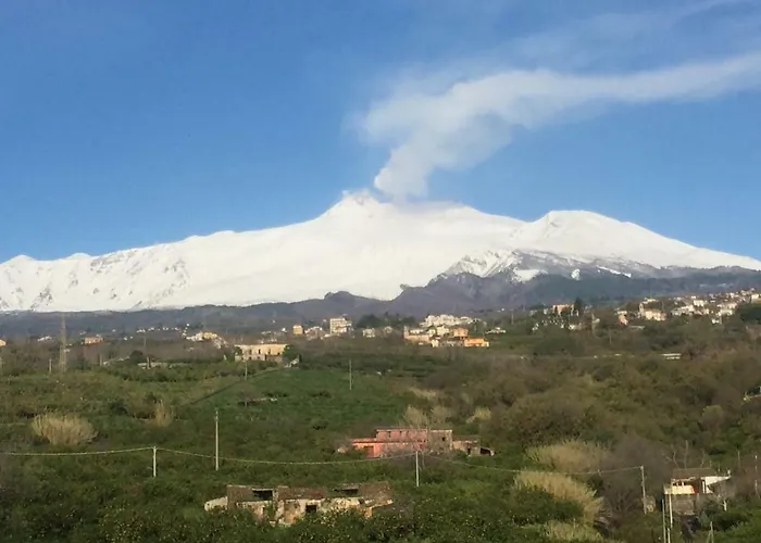 Zagare Dell\'Etna