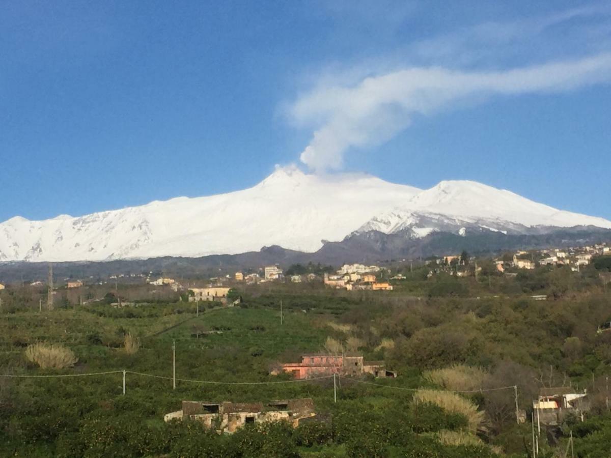 Apartment Zagare Dell'etna *